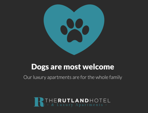 We are dog-friendly at The Rutland Hotel and just love it when we get fluffy little visitors!